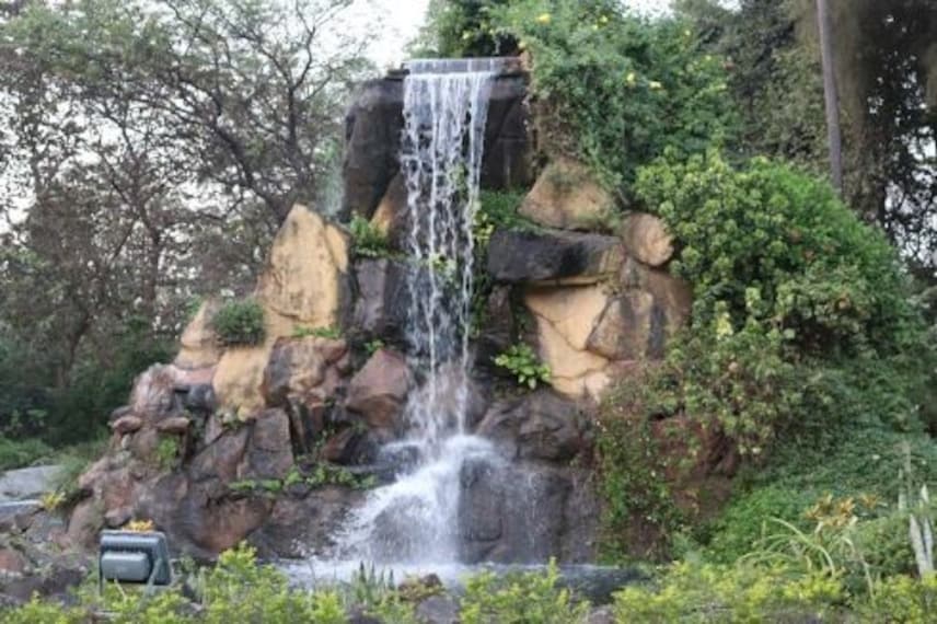 Hirwa Van Garden-1